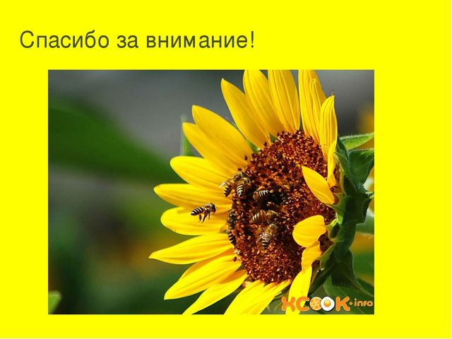 Презентация к занятию. Сказка "Путешествие семечки"