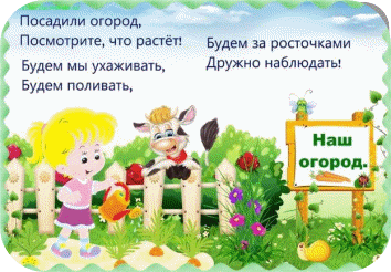 ogorod.jpg