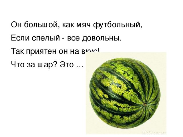 Презентация по курсу математики для дошкольников по теме: "Свойство предметов" Программа Петерсон Занятие 1