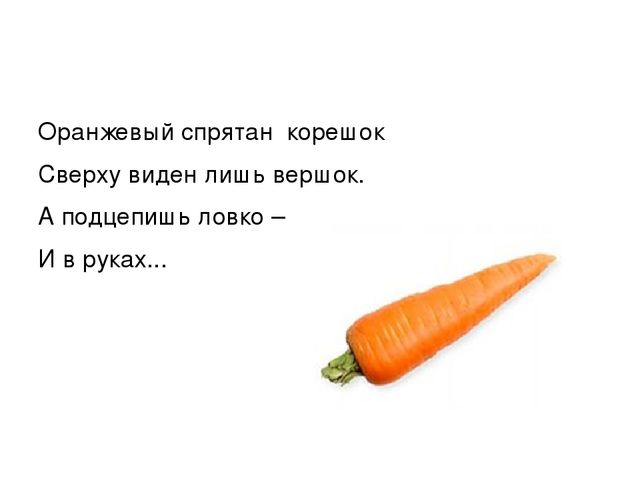 Презентация по курсу математики для дошкольников по теме: "Свойство предметов" Программа Петерсон Занятие 1