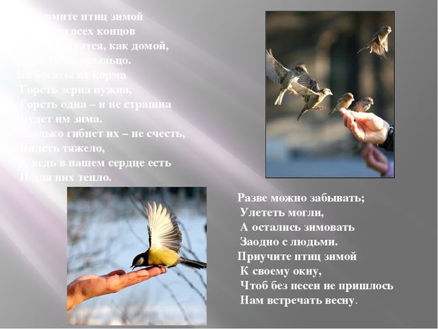 Презентация на тему: "Зимующие птицы"