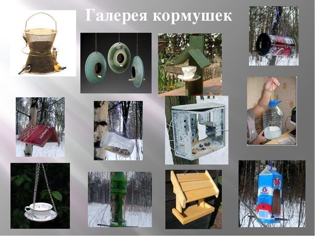 Презентация на тему: "Зимующие птицы"