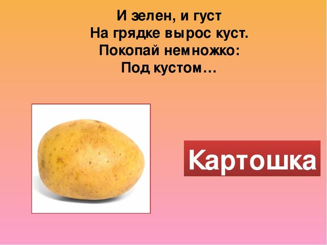 GПрезентация на тему "Овощи"