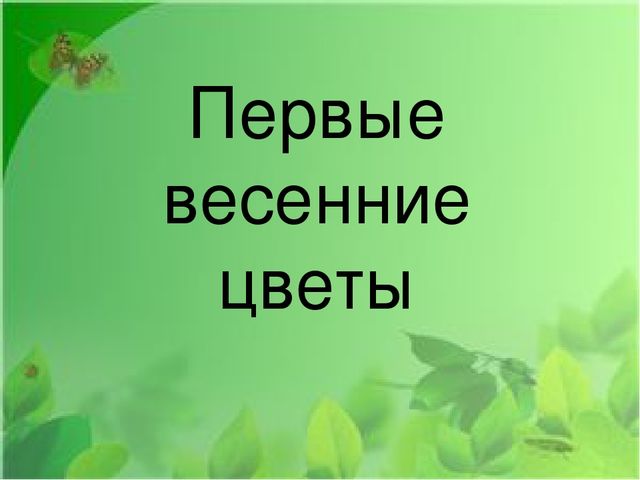Презентация на тему: "Первые весенние цветы"