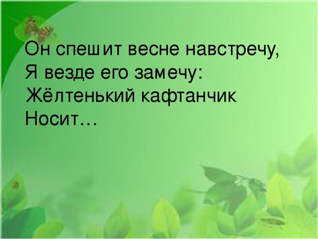 Презентация на тему: "Первые весенние цветы"