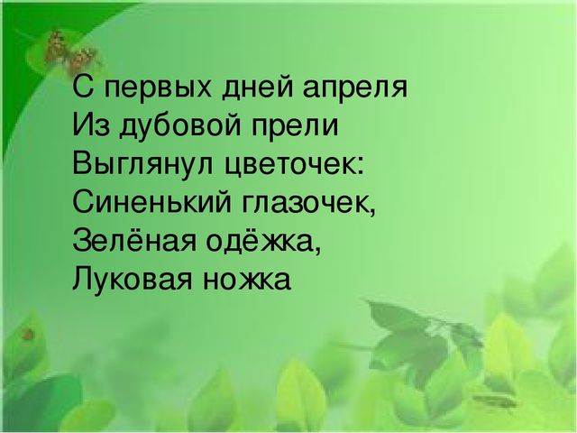 Презентация на тему: "Первые весенние цветы"