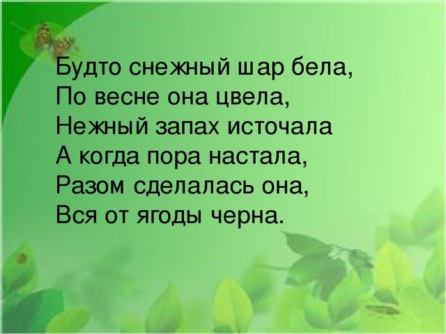 Презентация на тему: "Первые весенние цветы"