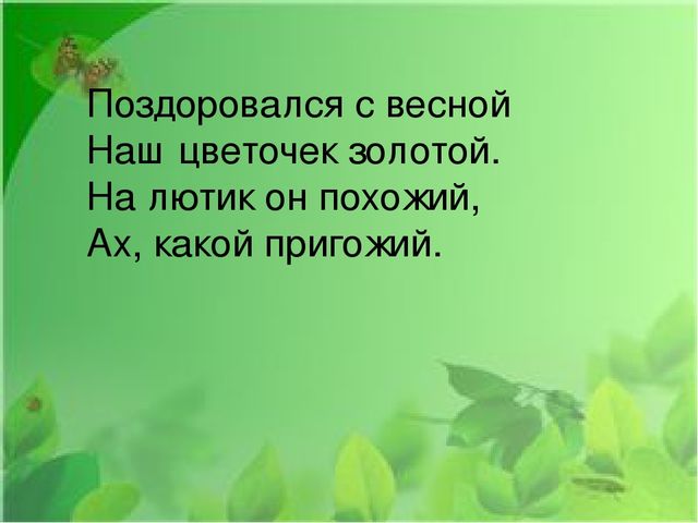 Презентация на тему: "Первые весенние цветы"