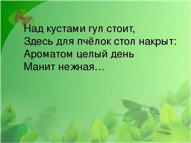 Презентация на тему: "Первые весенние цветы"