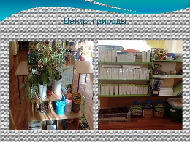 Презентация "Предметно-развивающая среда ДОУ"
