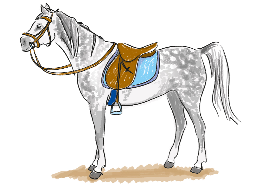 Лошадь картинки рисунки. Лошадь рисунок. Рисунки лошадей для срисовки. Лошадь рисунок для детей. Лошадь для срисовки.
