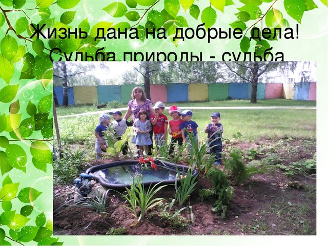 Проект "Наш аленький прудик"