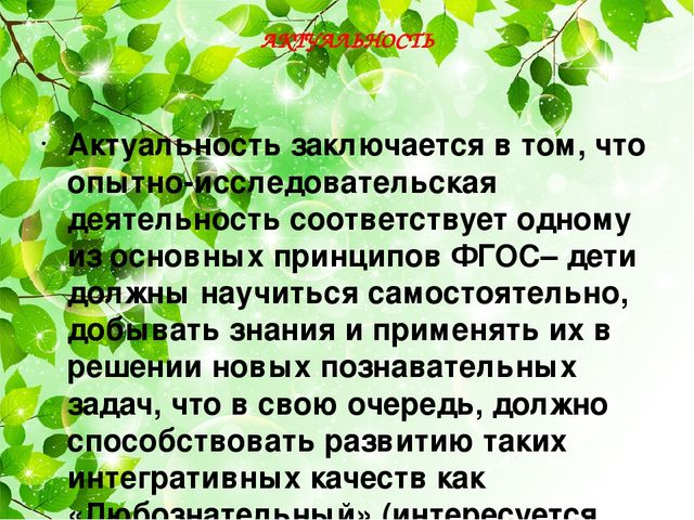 Проект "Наш аленький прудик"