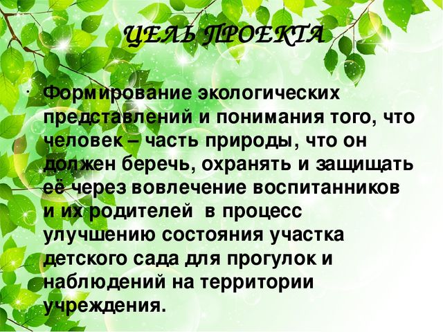 Проект "Наш аленький прудик"