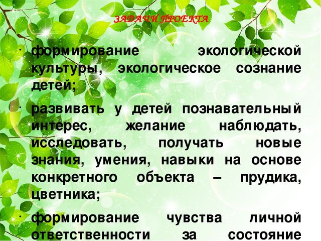 Проект "Наш аленький прудик"