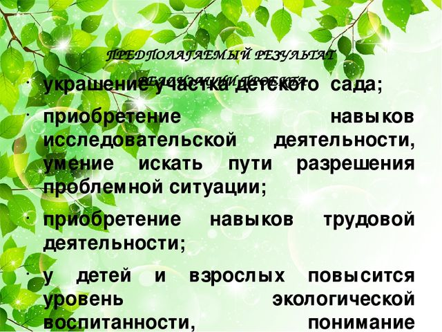 Проект "Наш аленький прудик"