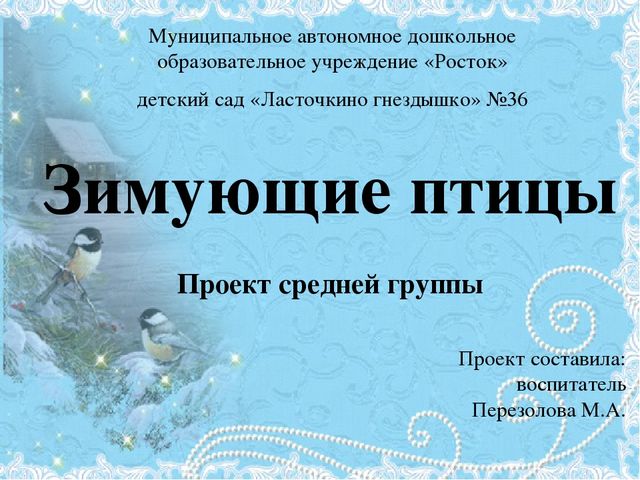 Проект Зимующие птицы 4-5 лет