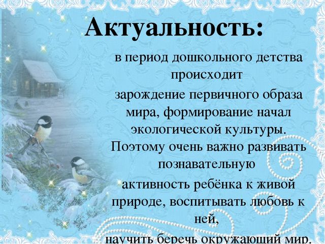 Проект Зимующие птицы 4-5 лет