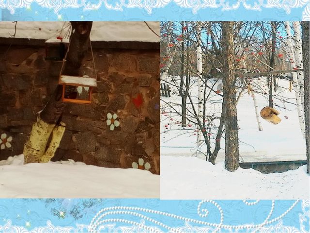 Проект Зимующие птицы 4-5 лет