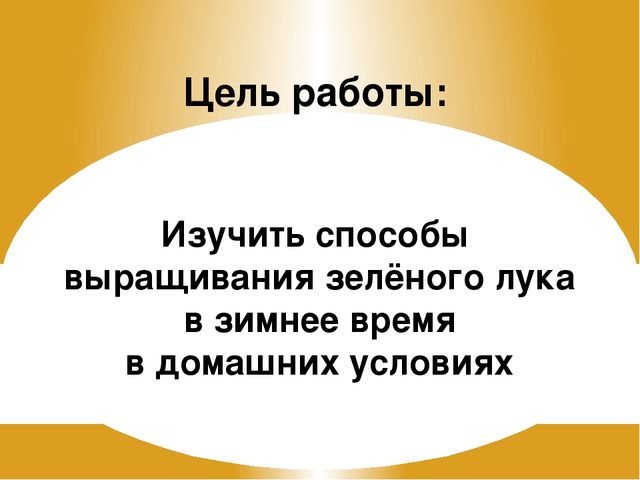Презентация на тему "Зеленый лук - полезный лук"