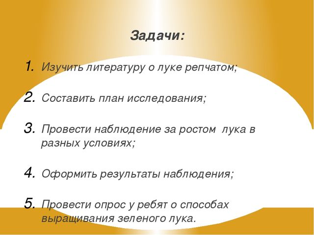 Презентация на тему "Зеленый лук - полезный лук"