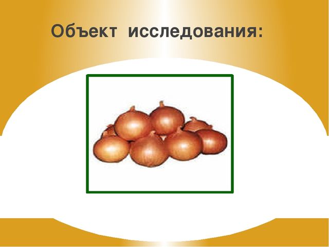 Презентация на тему "Зеленый лук - полезный лук"