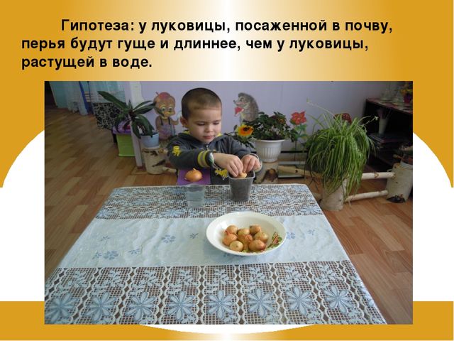 Презентация на тему "Зеленый лук - полезный лук"