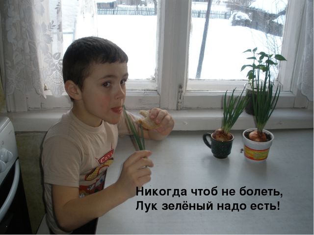 Презентация на тему "Зеленый лук - полезный лук"