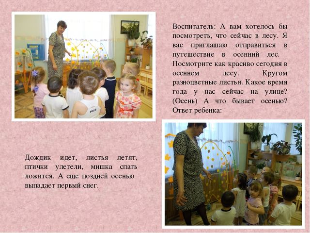 Путешествие в осенний лес