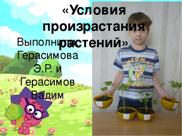 Проект "Условия произрастания растений"