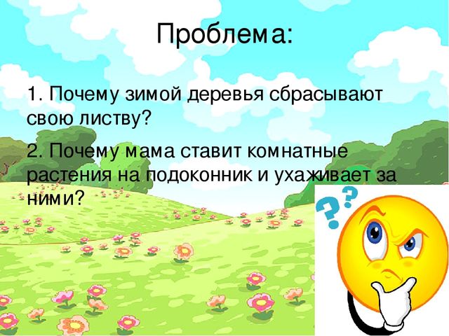 Проект "Условия произрастания растений"