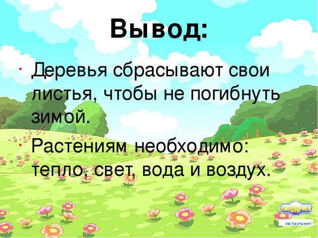 Проект "Условия произрастания растений"