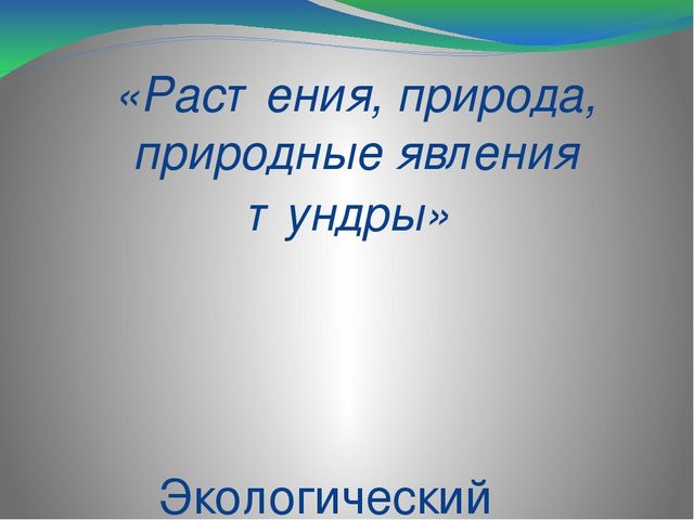 Проект по экологии "Растения, природа, природные явления тундры" (дошкольники)