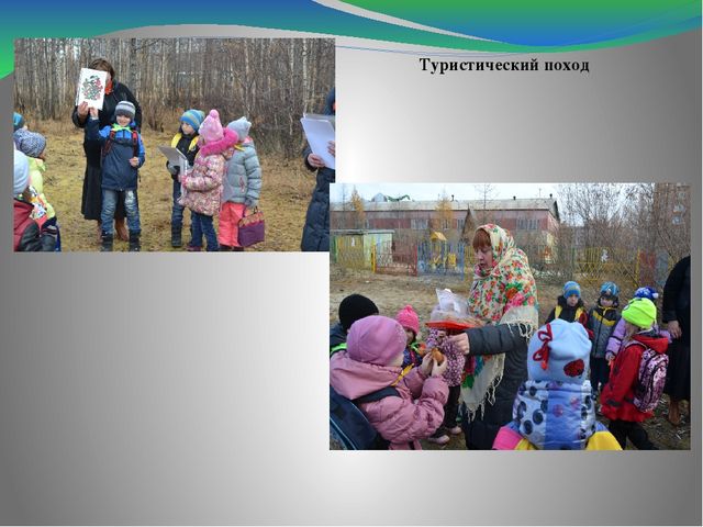 Проект по экологии "Растения, природа, природные явления тундры" (дошкольники)
