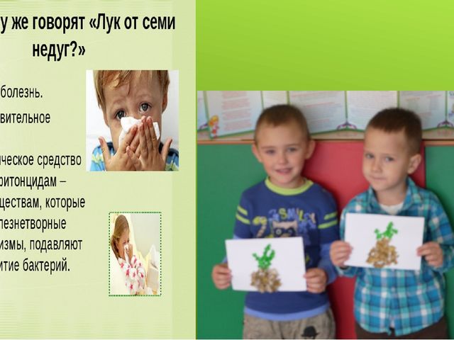 Лук от семи недуг