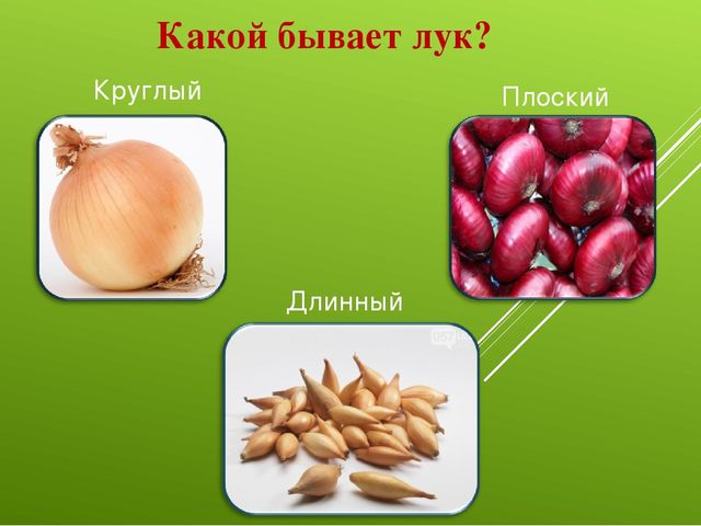 Лук от семи недуг