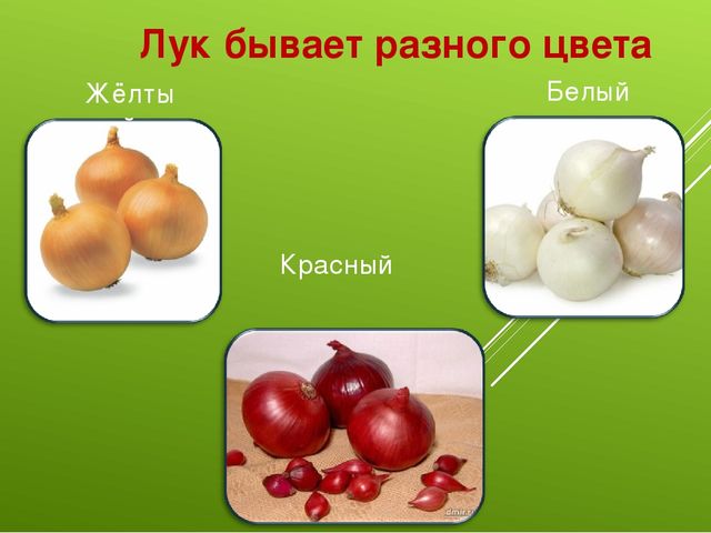 Лук от семи недуг