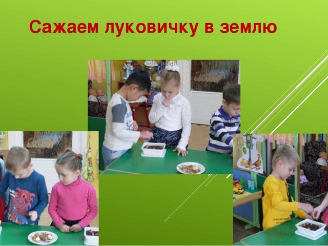 Лук от семи недуг