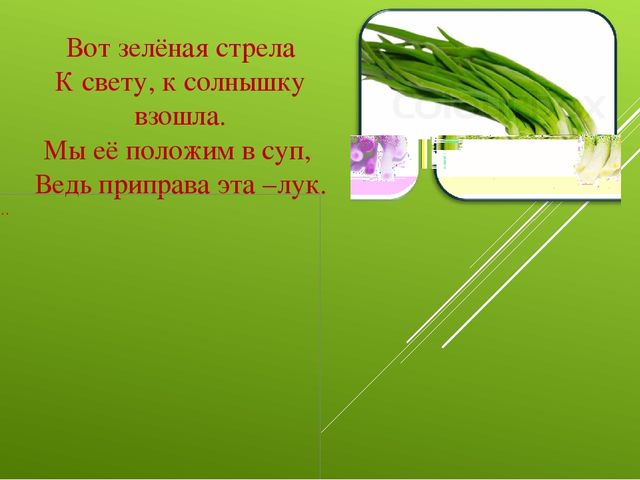 Лук от семи недуг
