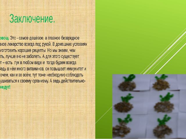 Лук от семи недуг