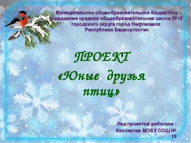 Проект "Юные друзья птиц". Творческий отчет Природоохранной акции "Кормушка"