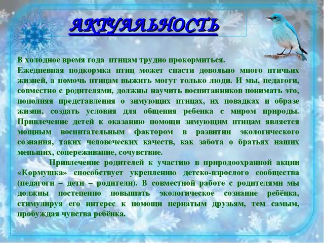 Проект "Юные друзья птиц". Творческий отчет Природоохранной акции "Кормушка"