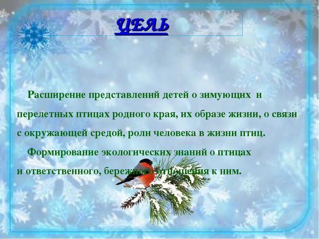 Проект "Юные друзья птиц". Творческий отчет Природоохранной акции "Кормушка"
