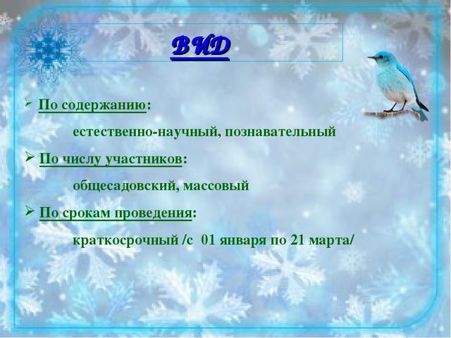 Проект "Юные друзья птиц". Творческий отчет Природоохранной акции "Кормушка"