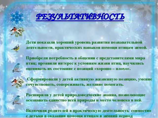 Проект "Юные друзья птиц". Творческий отчет Природоохранной акции "Кормушка"