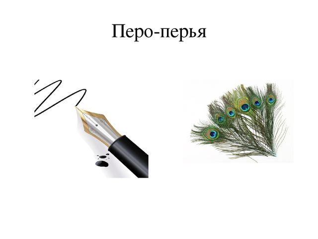 Презентация к уроку "Разделительные мягкий и твердый знаки"