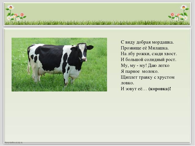 Презентация для детей старшего дошкольного возраста "Домашние животные и птицы"