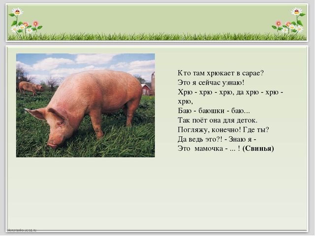 Презентация для детей старшего дошкольного возраста "Домашние животные и птицы"