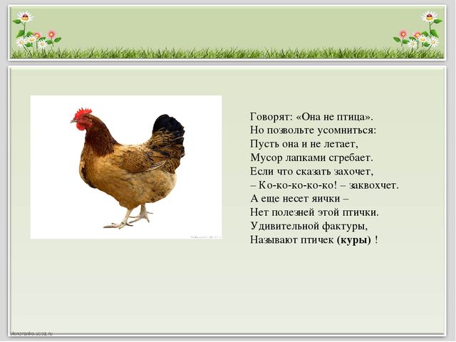 Презентация для детей старшего дошкольного возраста "Домашние животные и птицы"
