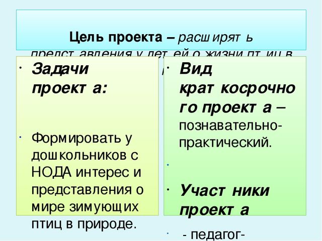Проект-презентация «Виртуальное путешествие в мир зимующих птиц» (Группа детей с НОДА).